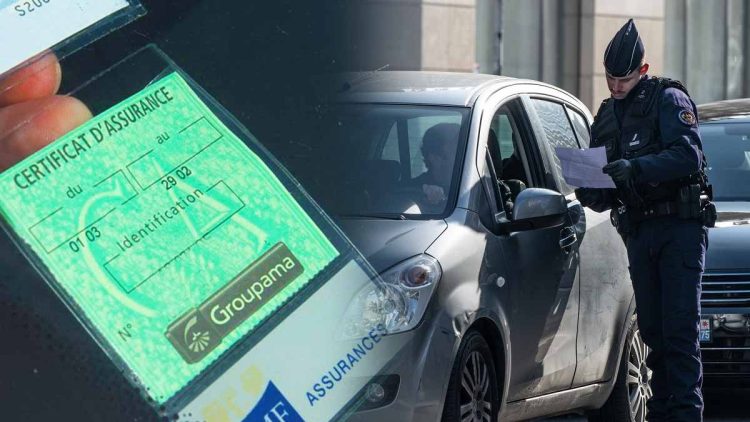 Adieu la carte verte ! Comment LéoBot transforme l&rsquo;assurance automobile en 2025 ?