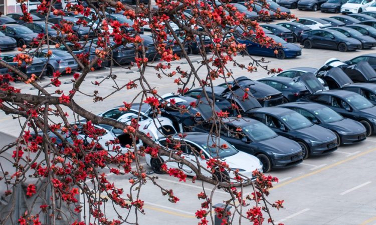 Tesla en Chine : un mois de ventes en gros surprenant qui va tout changer !